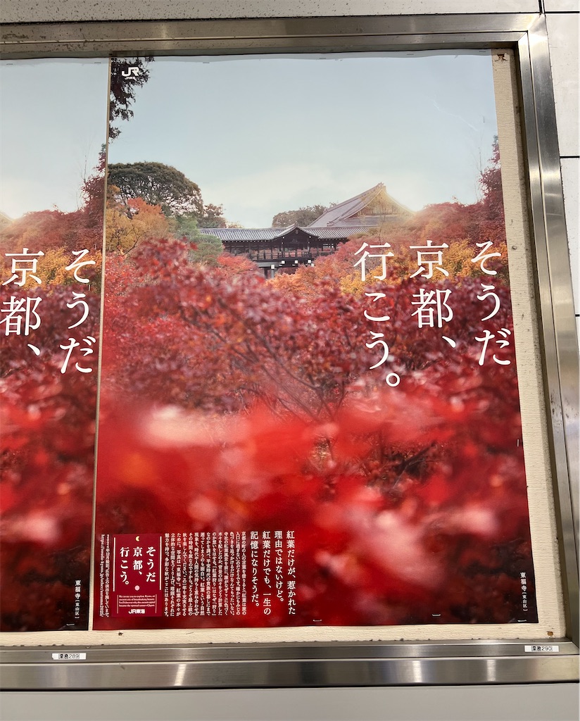 f:id:rosehazuki:20251209131721j:image