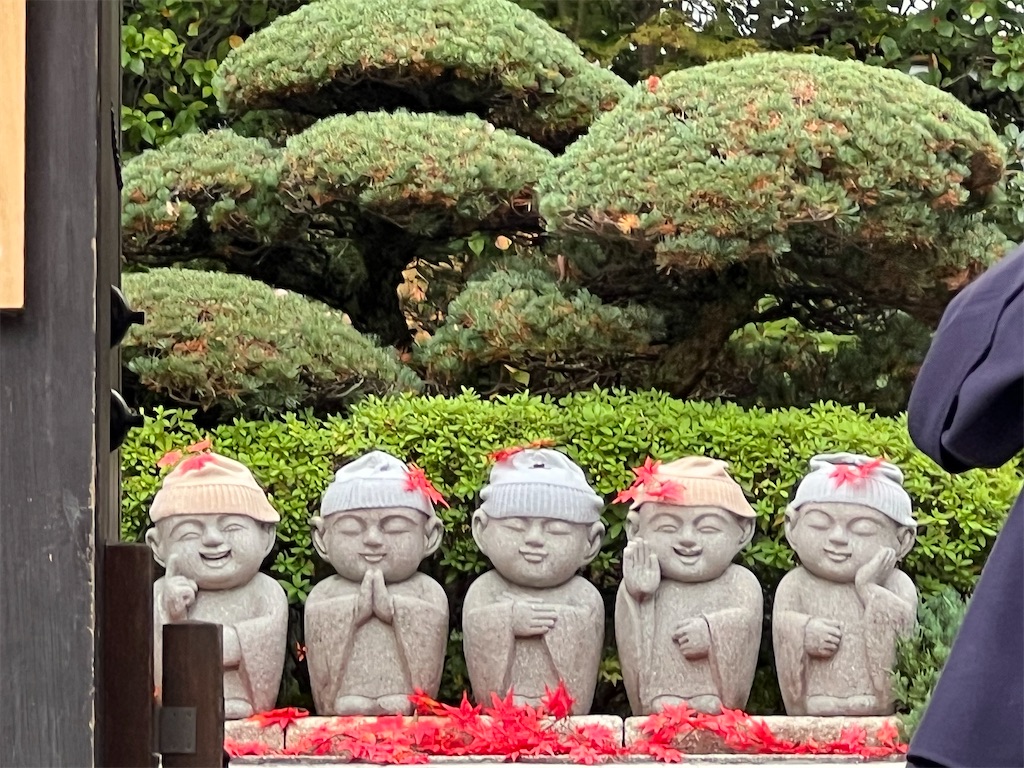 f:id:rosehazuki:20251210094350j:image