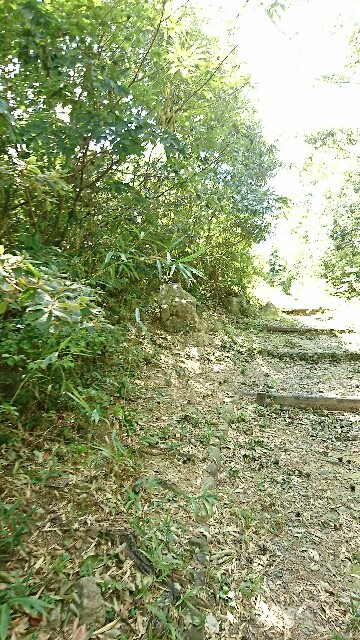 f:id:rosehiro18:20180830110307j:image