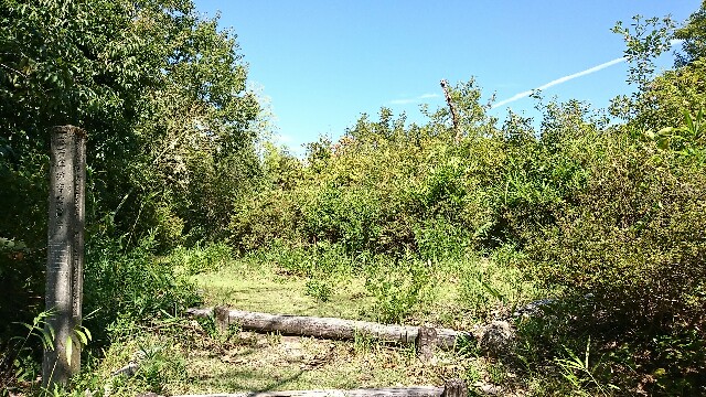 f:id:rosehiro18:20180830110459j:image