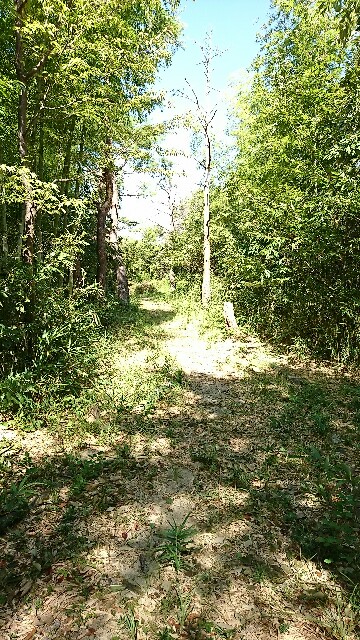 f:id:rosehiro18:20180830113116j:image