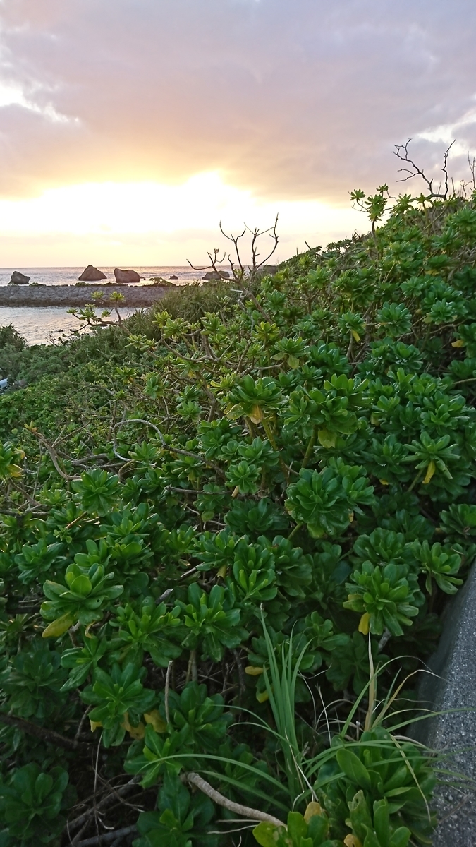 f:id:rosehiro18:20191121100553j:plain