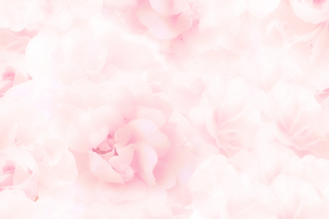f:id:rosemarylab:20171229174930j:plain f:id:rosemarylab:20171229174930j:plain