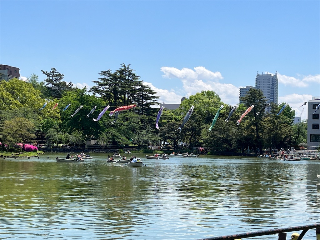f:id:rosepoint1224:20250505110048j:image f:id:rosepoint1224:20250505110048j:image