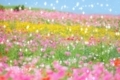f:id:roseriche:20190704131808j:plain