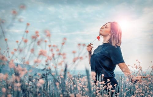 f:id:roseriche:20190711144523j:plain f:id:roseriche:20190711144523j:plain