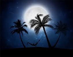f:id:roseriche:20190719160015j:plain f:id:roseriche:20190719160015j:plain
