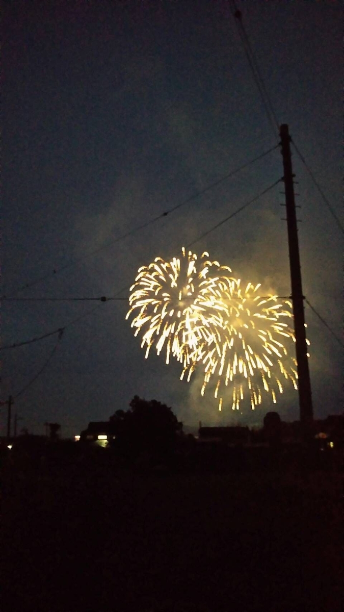 f:id:roseriche:20190719164306j:plain f:id:roseriche:20190719164306j:plain