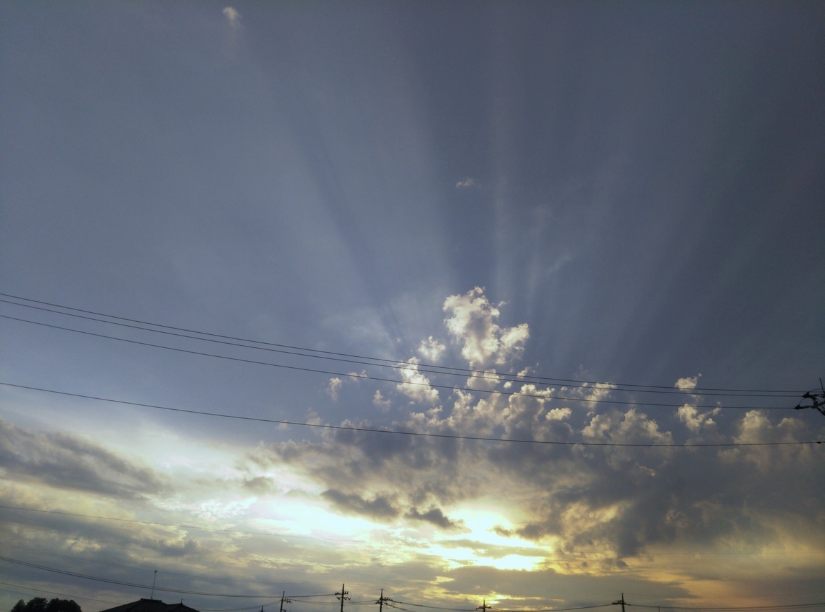 f:id:roseriche:20190819155628j:plain