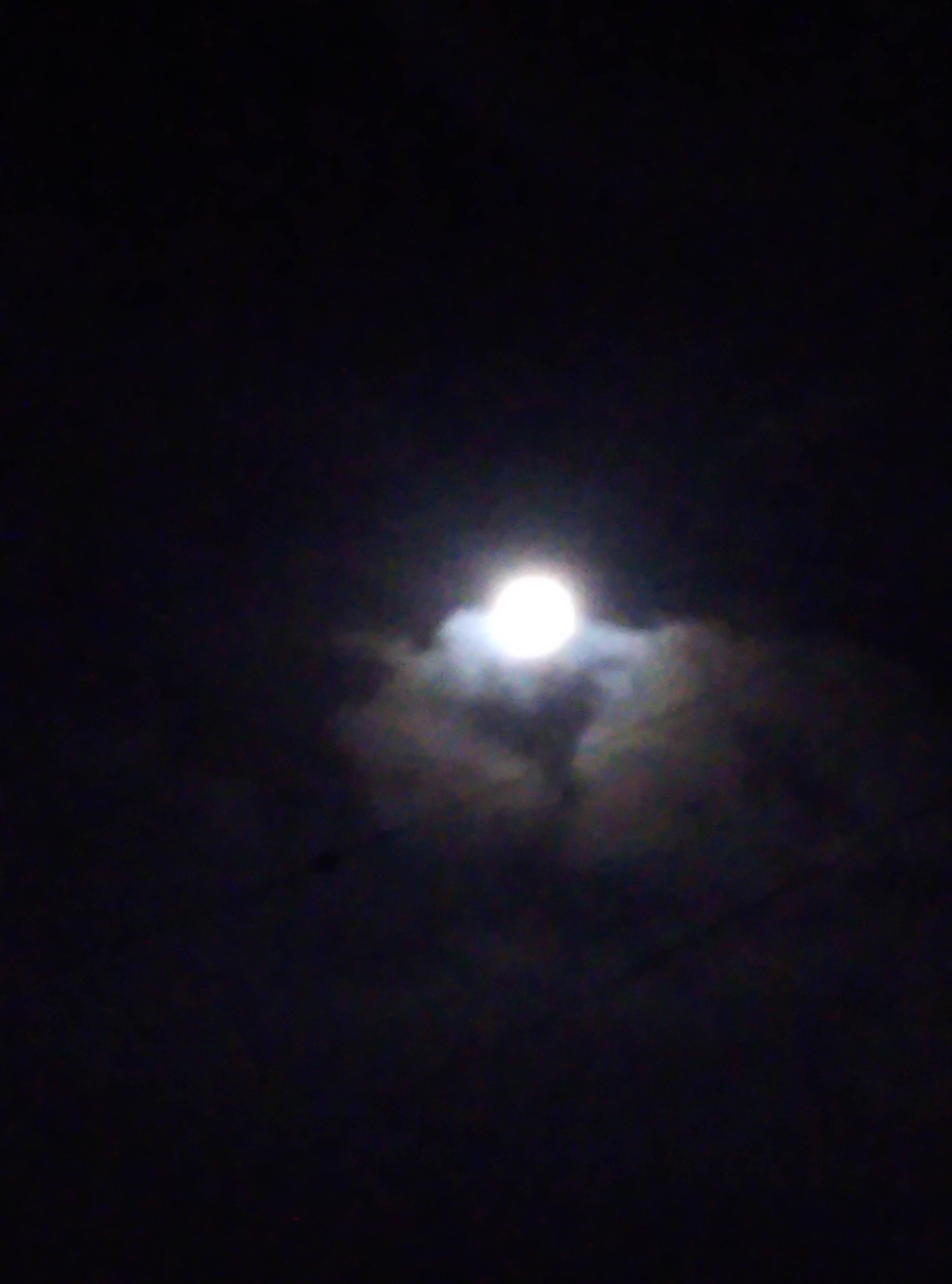 f:id:roseriche:20190819160542j:plain