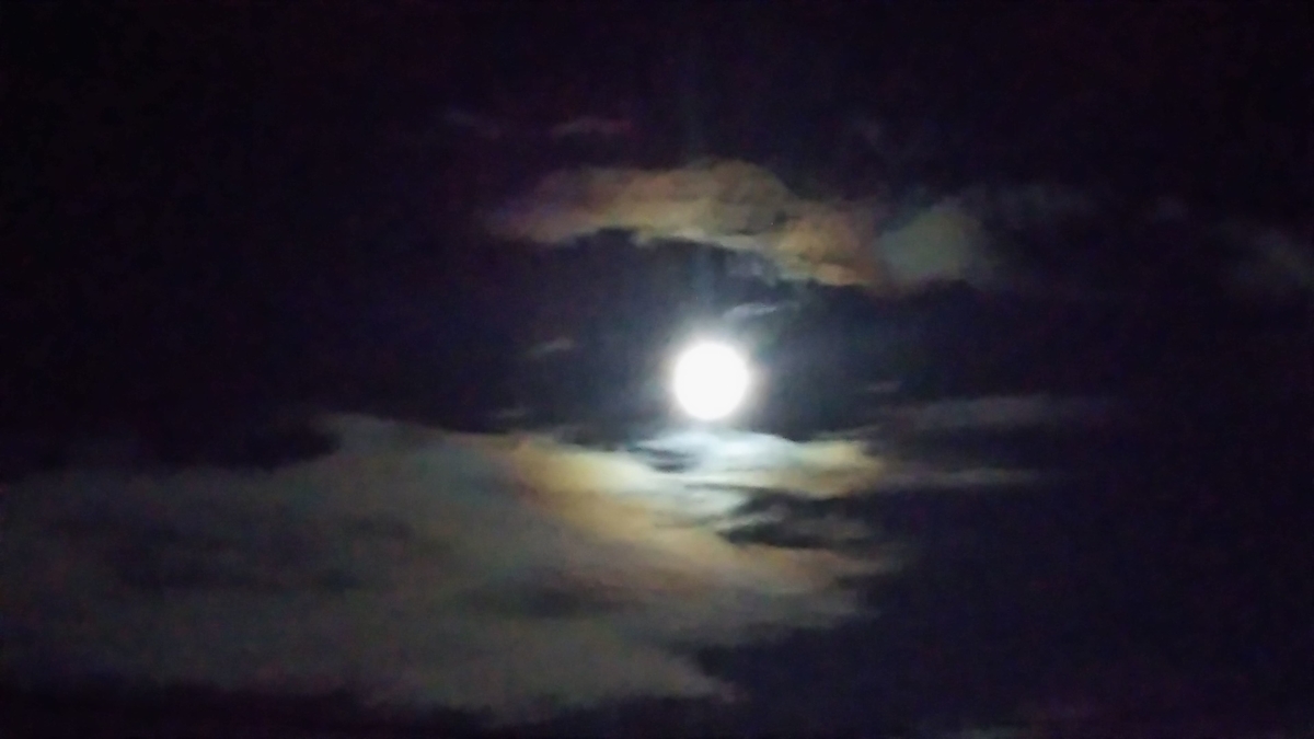 f:id:roseriche:20191013200453j:plain