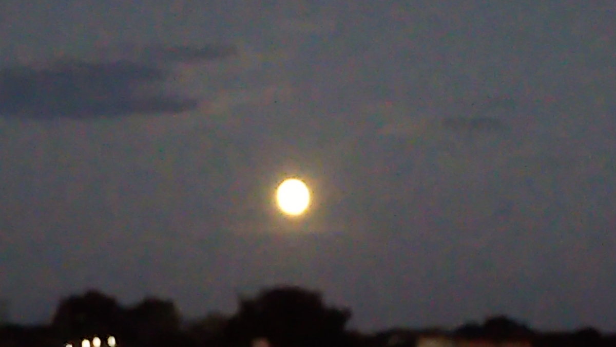 f:id:roseriche:20191013200559j:plain