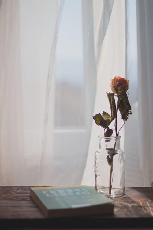 f:id:roseriche:20191202182411j:plain f:id:roseriche:20191202182411j:plain