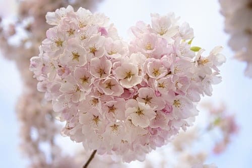 f:id:roseriche:20191210173405j:plain