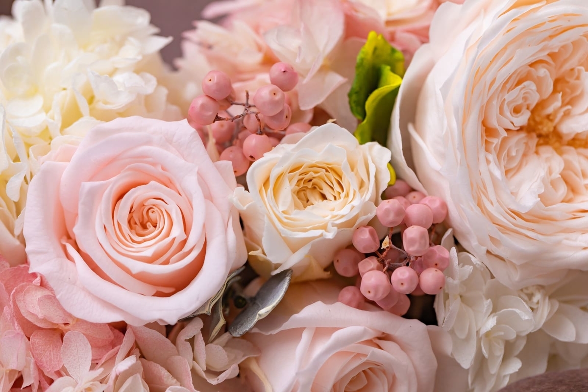 f:id:roseriche:20191226201156j:plain f:id:roseriche:20191226201156j:plain
