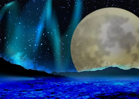 f:id:roseriche:20200122175344j:plain f:id:roseriche:20200122175344j:plain