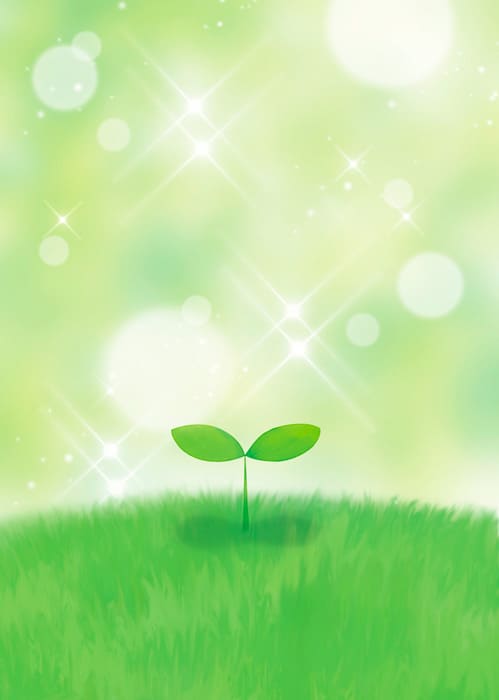 f:id:roseriche:20200227063320j:plain