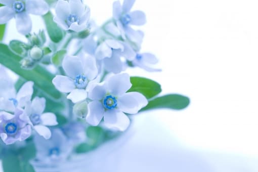 f:id:roseriche:20200516165726j:plain