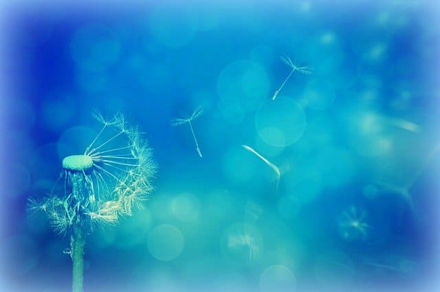 f:id:roseriche:20210120183310j:plain
