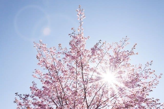 2021年春分前の浄化・3月20日春分の日ヒーリング 2021年3月20日春分の日