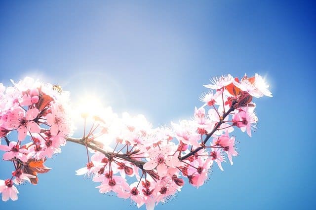 2021年3月20日宇宙元旦春分 2021年3月20日宇宙元旦春分
