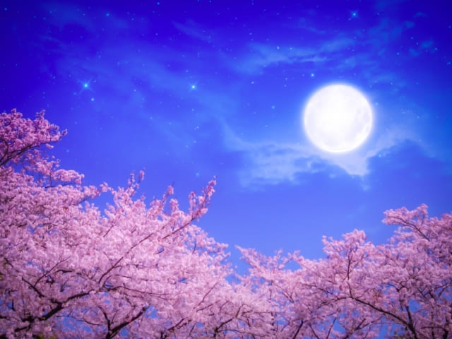 2021年3月29日天秤座満月スピリチュアルメッセージ 2021年3月29日天秤座満月