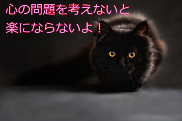 f:id:roshian25:20170307151903j:plain f:id:roshian25:20170307151903j:plain
