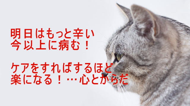 禁酒するととにかく眠い うつ対策を考えよう イライラする 落ち込む 不安になる 眠れないから酒に依存 酒より効くセラピーのすすめ
