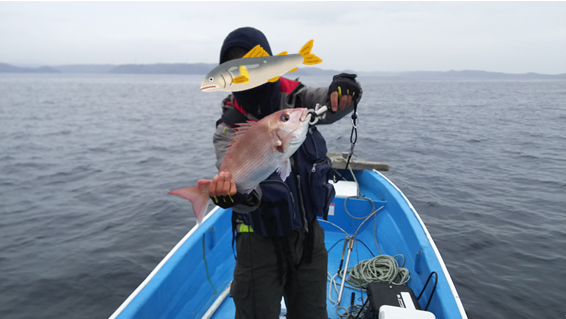 2017 01 07 仮屋湾釣り初め ナブラ打ちでヒラゴ 新米パパのボート釣り日記