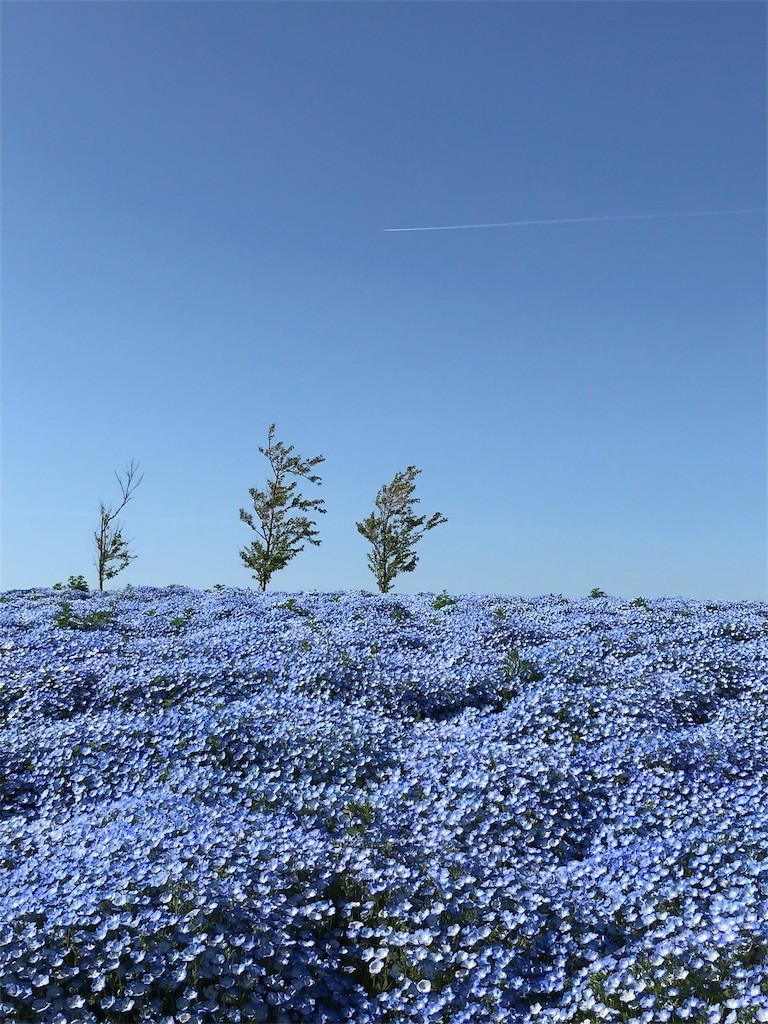 f:id:rosseta:20190422013626j:image