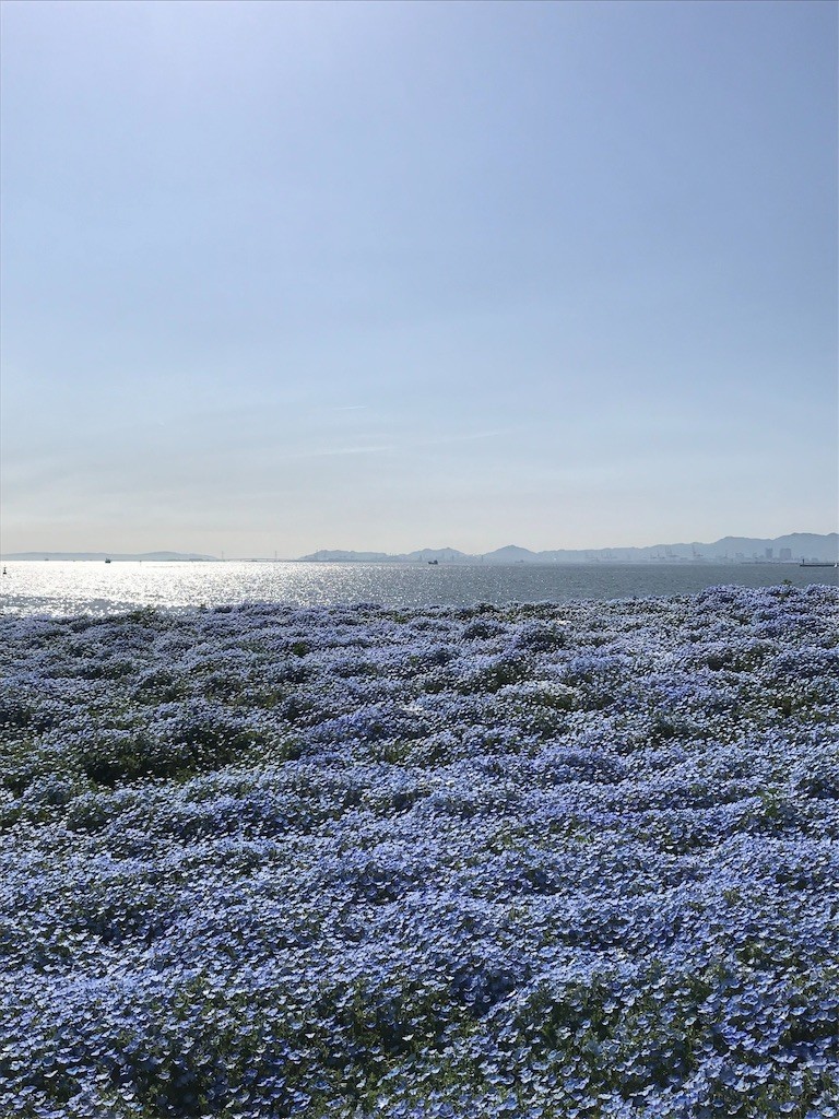 f:id:rosseta:20190422014254j:image