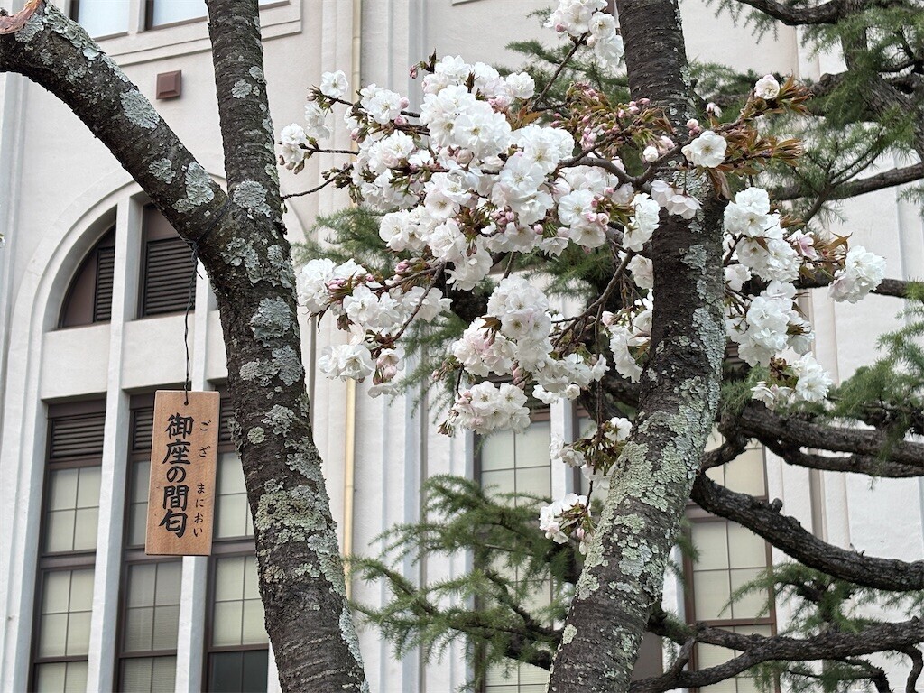 f:id:rosseta:20250407011557j:image