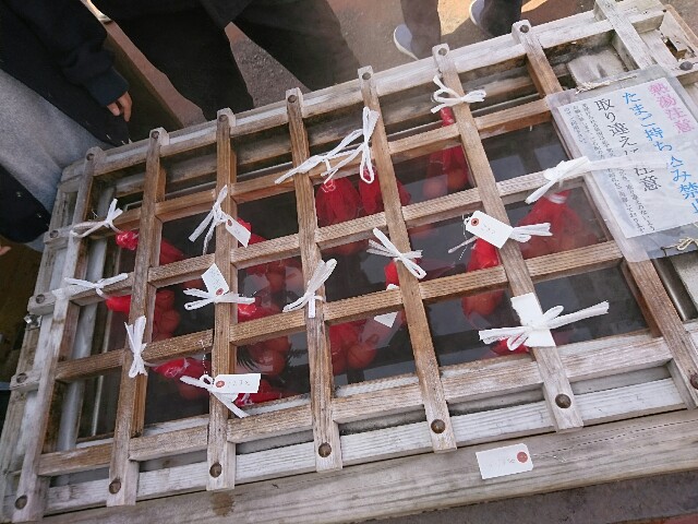 f:id:rotalism:20170312225844j:image