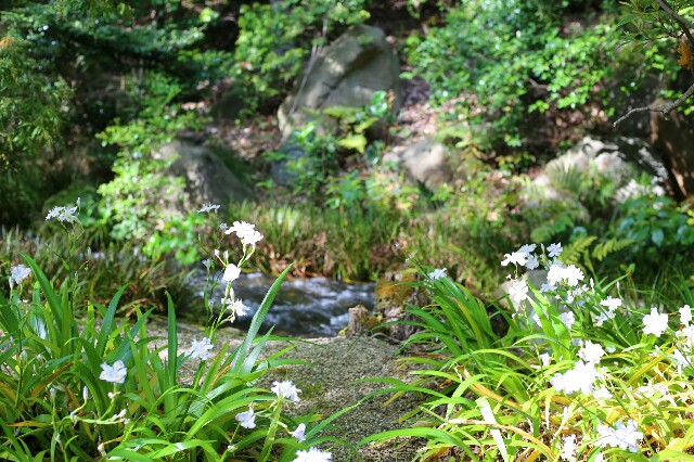 f:id:rotalism:20170424201958j:image