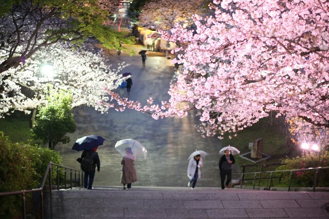 f:id:rotalism:20170424203055j:image