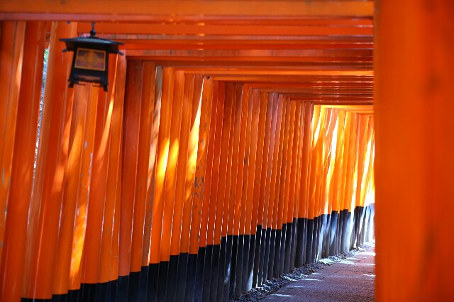 f:id:rotalism:20170424203128j:image