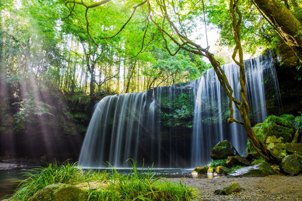 f:id:rotalism:20170725215824j:plain