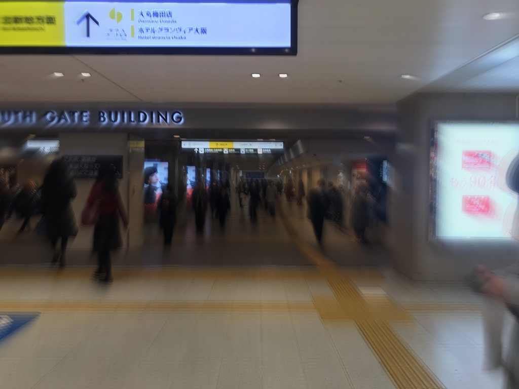 f:id:rotenburug:20190310022103j:plain f:id:rotenburug:20190310022103j:plain