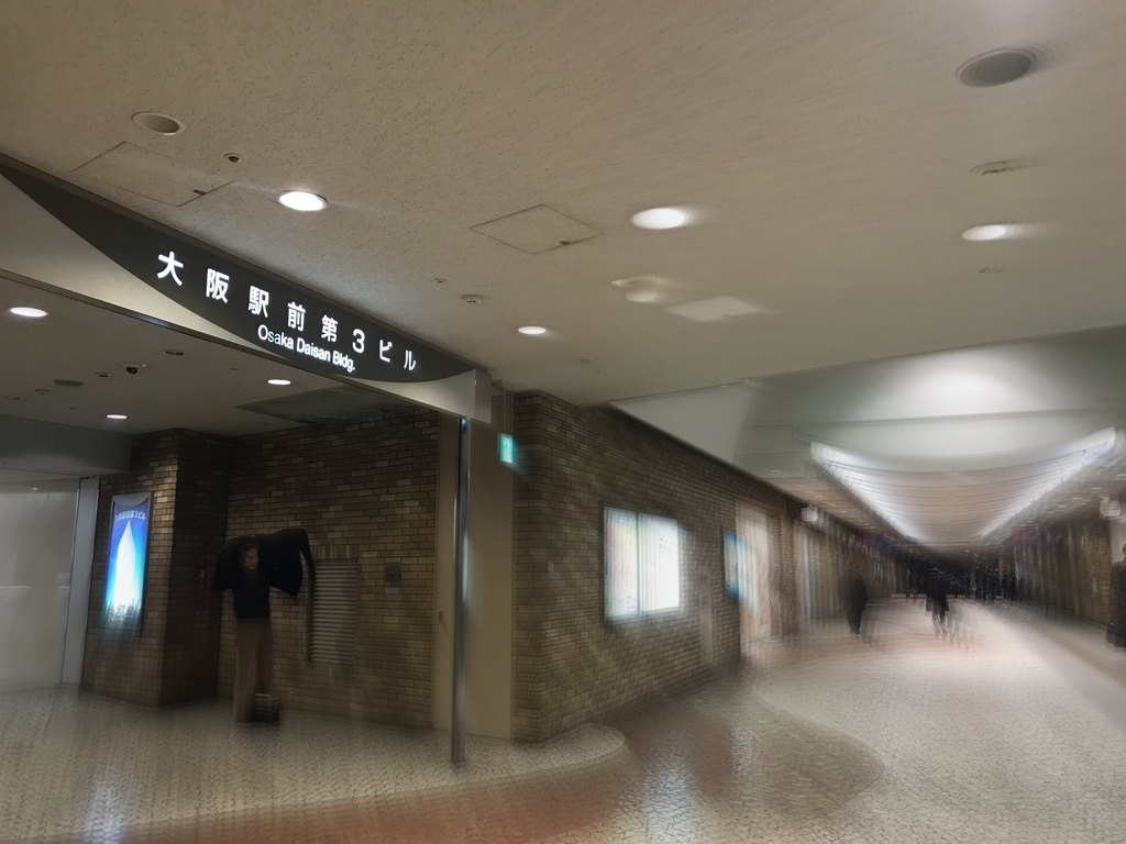 f:id:rotenburug:20190310023211j:plain f:id:rotenburug:20190310023211j:plain