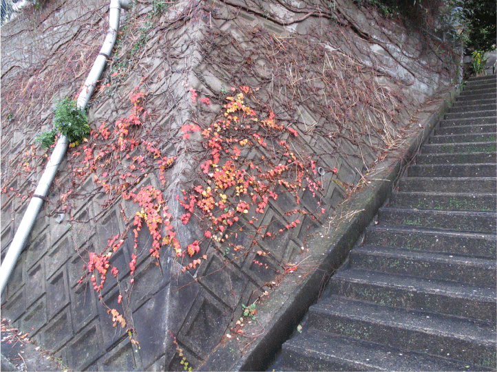 f:id:rotling:20091211164719g:image
