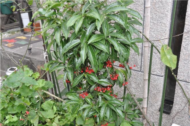 f:id:rotling:20091218143939g:image