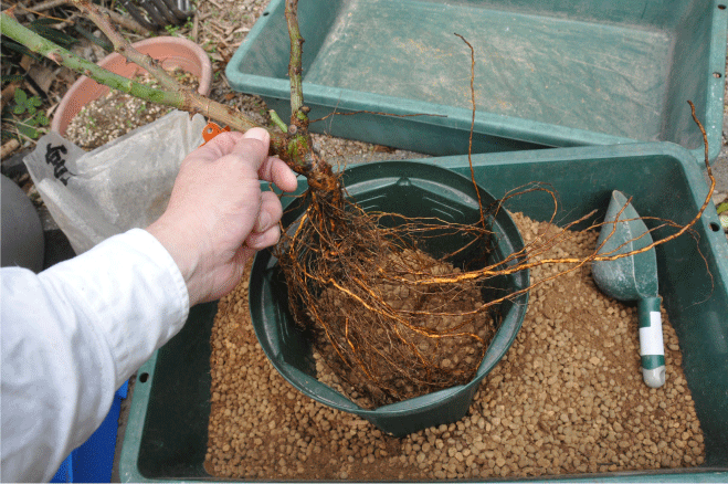 f:id:rotling:20091221175450g:image