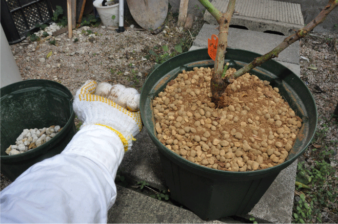 f:id:rotling:20091221175451g:image