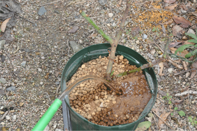 f:id:rotling:20091221175453g:image