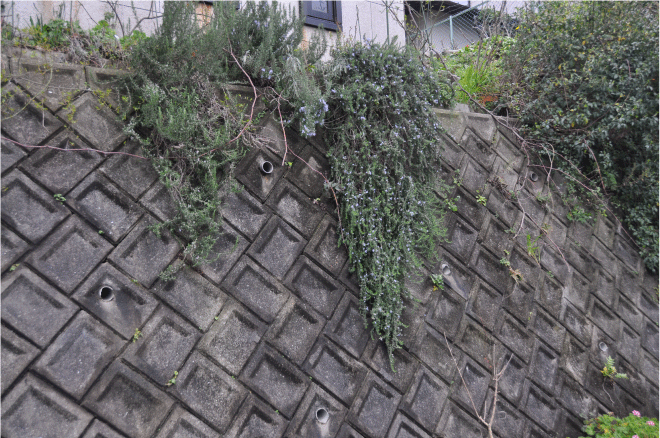 f:id:rotling:20100305103250g:image