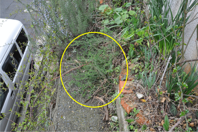 f:id:rotling:20100305125052g:image