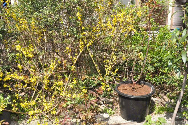 f:id:rotling:20100319131540g:image