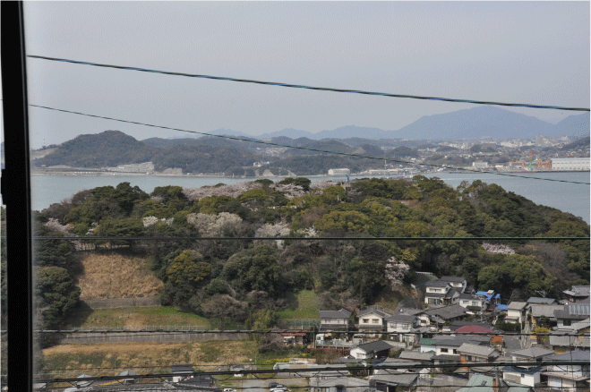 手向山ノサクラ