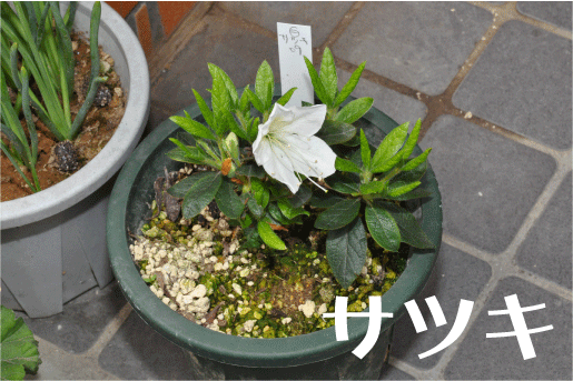 f:id:rotling:20100419114241g:image