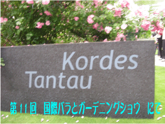 f:id:rotling:20100422223009g:image f:id:rotling:20100422223009g:image